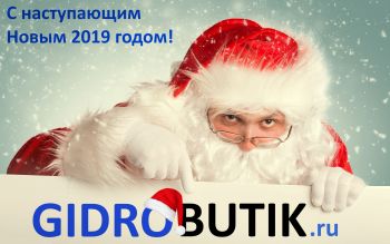 С НОВЫМ 2019 годом!