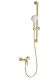 Смеситель для душа с гарнитуром Wonzon & Woghand WW-4570-BG брашированное золото