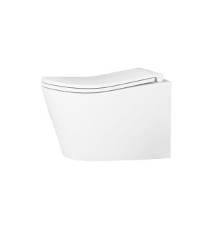 Унитаз подвесной безободковый (торнадо) DQ Bamberg 520*360*360мм, сиденье микролифт, белый (DT1556516)