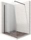 Душевая перегородка Ambassador Walk-in 15031112 120см чёрный/прозрачное