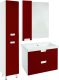 Зеркало-шкаф Bellezza Пегас 50см левый красный 00000011161