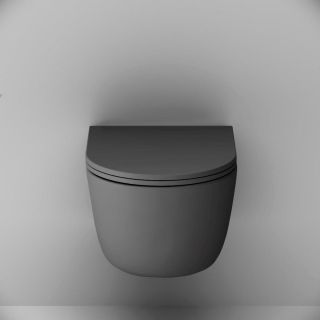 Унитаз подвесной  AM.PM Sirius DX86C1700MBSC FlashClean с сиденьем микролифт