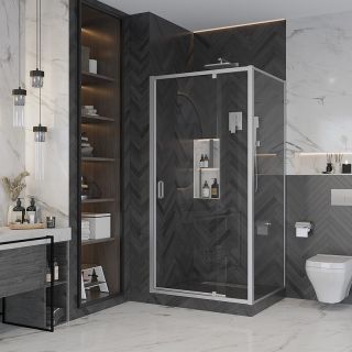 Душевой уголок Ambassador Elysium 111021102KX-100KX 80x100см хром/прозрачное