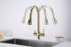 Смеситель для кухни Paulmark Lange La214212-G золото