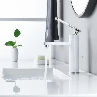 Смеситель для раковины Shevanik S6601F с поворотным носиком белый/хром