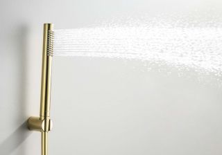 Душевая лейка Aquatek Европа AQ2034BG шлифованное золото