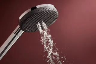 Душевая лейка Hansgrohe Raindance Alive Select S 24500000 хром