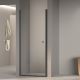 Душевая дверь RGW Dolphin TN-03B 800