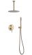 Душевая система ABBER Emotion AF8821G золото матовое