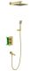 Душевой комплект Timo Petruma SX-5049/17SM с термостатом золото матовое