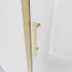 Душевая дверь Veconi Evo 100 G, 1200x1950, золото брашинг, стекло прозрачное