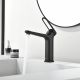 Смеситель для раковины Black&White Gravity 7109MB чёрный матовый