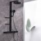 Душевая стойка Black&White Gravity 9005 с термостатом чёрный матовый