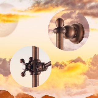 Душевой гарнитур Swedbe Terracotta 2560 тёмная бронза