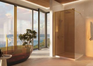 Душевая перегородка Vincea Walk-In VSW-1H900GSG, 900*2000, матовый золотой, стекло янтарь